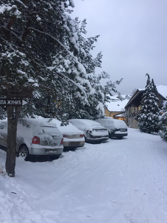 Guest House Vila Zunic Zlatibor Exterior photo